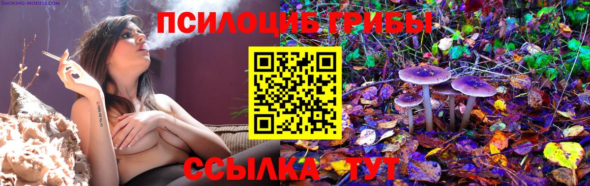 Галлюциногенные грибы Psilocybe  Галлюциногенные грибы прущие грибы  Павлово  Вход с VPN 